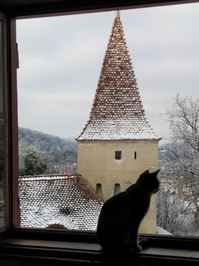 Apartamento Casa Cojo Sighişoara Exterior foto